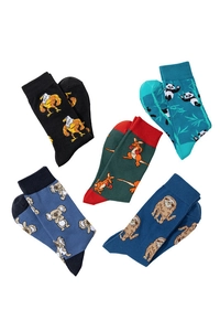 Flat lay of cotton socks featuring colorful animal patterns like eagle, panda, and sloth