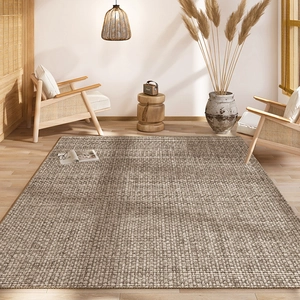 Minimalist Area Rug Sisal-Look Woven Crystal Velvet Non-Slip Floor Mat Living Room Bedroom Entryway Decorative