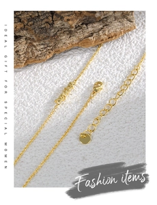 Close-up of golden necklace lobster clasp and adjustable extension chain details