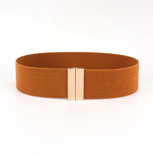 Detail of caramel brown elastic wide belt with rectangle gold buckle for dresses