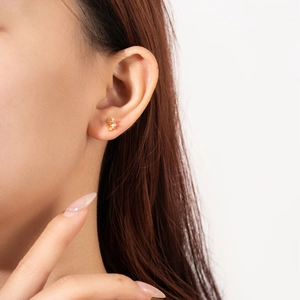 Elegant S925 sterling silver stud earrings with zircon stone on model