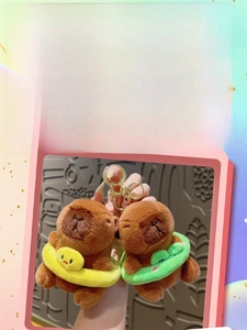 Detail of plush capybara keychains featuring yellow duck and green frog swim rings