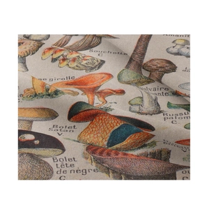 Close-up of bohemian wall tapestry featuring vintage French mushroom botanical illustrations