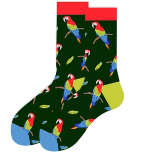Detailed view of green cotton socks featuring colorful parrot patterns and multi-color accents