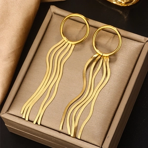 Fashionable gold stainless steel S-chain tassel drop earrings on jewelry display box