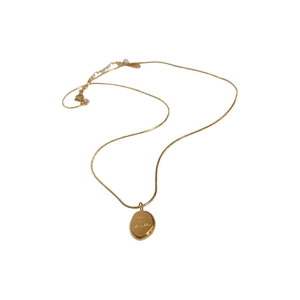 Minimalist gold stainless steel oval pendant necklace on a sleek snake chain