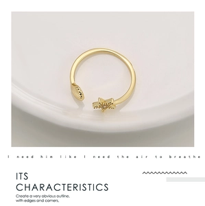 Detailansicht der goldenen Seestern und Muschel Ring mit funkelnden Zirkonia Steinen