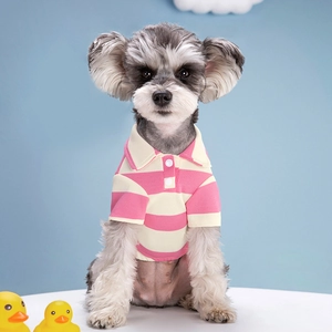 Pink and white striped pet Polo shirt detail with buttons and collar on a dog
