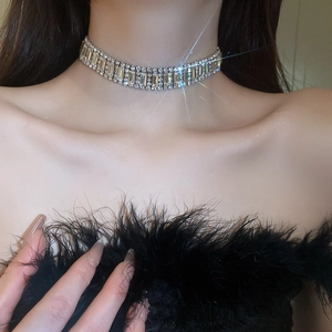 Detailed view of luxury silver-toned rhinestone wide choker necklace worn by a model