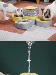 Dual stainless steel pet bowls with an automatic water dispenser for multi-cat feeding