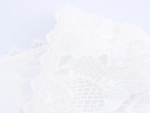 Close-up of intricate floral lace fabric with detailed mesh texture in white