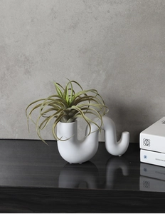 Détail d'un vase en céramique blanche ondulée avec plante sur marbre