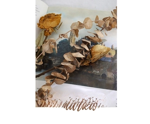 Vintage dried yellow roses and eucalyptus leaves on aesthetic open book pages