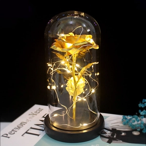 Detail view of a gold foil rose in a glass dome with warm LED fairy lights on a black base