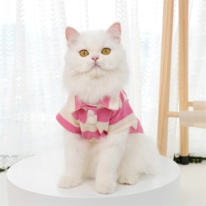 Detailed view of pink and white striped pet polo shirt on a cat with soft lighting