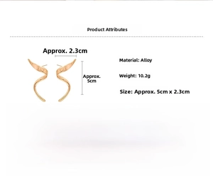 Detailed size chart of gold spiral geometric earrings measuring 5cm in height and 2.3cm wide