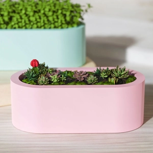 Molde de silicona para maceta de suculentas rosa macarrón y caja de almacenaje