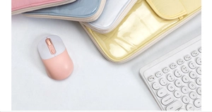 Detailed view of pastel laptop sleeves with clear front pockets and zipper closures