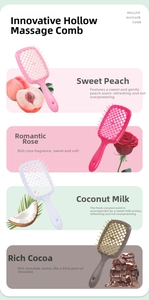 Scented hollow massage hair brushes in peach, rose, coconut and chocolate varieties