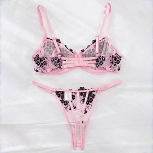 Detail of pink sheer lace lingerie set with intricate black floral embroidery on mesh