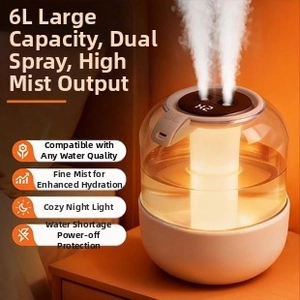 6L capacity air humidifier with dual mist spray nozzles and warm ambient night light