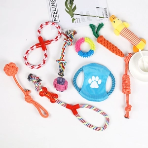 Flat lay of 10-piece pet cotton rope toy set with carrot knot and plush duck