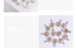 Vue macro de douze pendentifs du zodiaque plaqués or dans des cadres ronds argentés