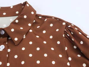 Detail eines braunen Vintage-Polka-Dot-Kleides mit klassischem Kragen und Knöpfen