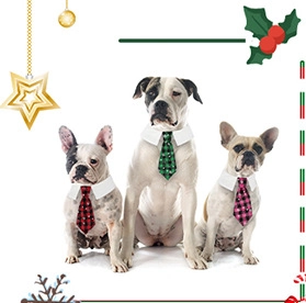 Close-up of red, green, and pink plaid pet bow ties for small dogs' Christmas costumes
