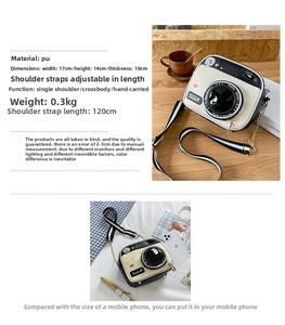 Detail showing the 17x14x10cm camera-shaped crossbody bag with adjustable chain strap