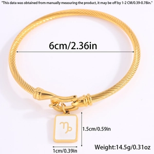Detail des goldenen Steinbock-Armbands mit 6 cm Innendurchmesser und Seilstruktur