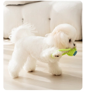 Close-up of a white puppy playing with a green and blue woven cotton rope ball toy