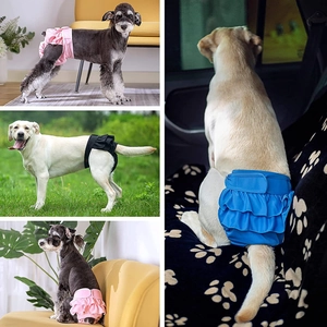 Pink, blue, and black dog sanitary pants on Labradors in home, grass, and car settings
