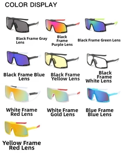 Detailed grid display showing ten color variations of outdoor sports cycling sunglasses