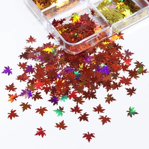 Macro detail of holographic maple leaf nail sequins in a 6-grid storage box