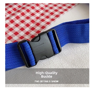 Detail showing premium black plastic buckle and durable blue nylon strap on crossbody bag