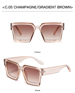 Detail of champagne square sunglasses with gradient brown lenses and specification codes