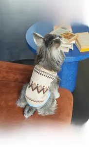 Detail of Fair Isle pattern pet sweater vest with rib knit edges for small dogs