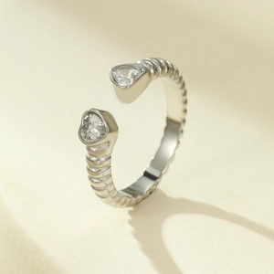 Detailed macro view of silver twist band ring featuring two sparkling heart shaped zirconia