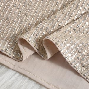 Close-up of silver sequins on beige mesh fabric with premium stitching details