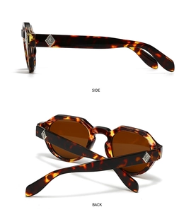 Seiten- und Rückansicht der Retro-Sonnenbrille in Schildpatt mit Silbernieten