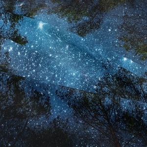 Dettaglio del tessuto dell'arazzo foresta ad alta densità con trama fine e stampa cielo stellato