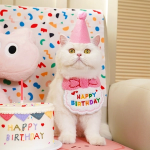 Detailed close-up of a white cat wearing pink plush birthday party hat and bow-tie bib