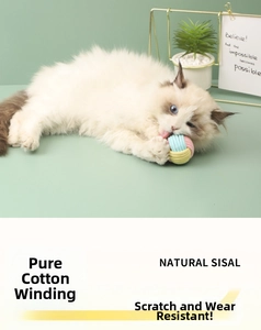 Cat toy ball detail featuring natural sisal and cotton weave for claw grinding
