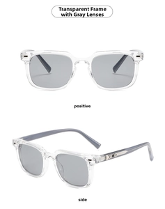 Front and side views of transparent frame sunglasses with gray lenses and metal accents