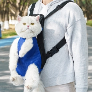 Detail of breathable blue mesh pet carrier backpack with white cat in outdoor park
