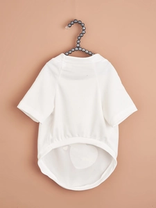 Detail of white mesh pet t-shirt hanging on a pearl hanger with breathable texture