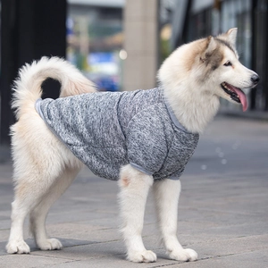 Grey knitted pet sweater for large dogs in a side view outdoor street setting