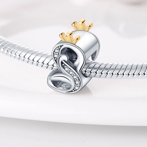 Detailed view of silver swan charm with letter S and golden crown on snake chain