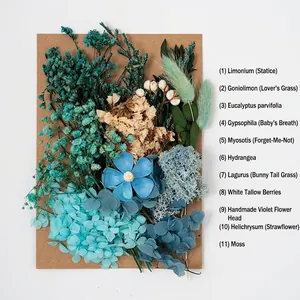 Detail of DIY preserved blue flower kit with dried hydrangeas and strawflowers on kraft board